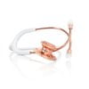 Rose Gold - White