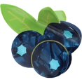 thumbnail image 1 of wonima44 Blueberry Claw Clip,Blueberry Hair Claw Clips,Fruit Hair Jaw Clips,Food Shape Hair Clips,Acetate Hair Clip for Girls,Small Hair Barrettes for Women (Blueberry), 1 of 1