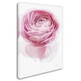 thumbnail image 2 of Trademark Fine Art 'Pink Lady I' Canvas Art by Elizabeth Urquhart, 2 of 3