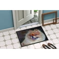 thumbnail image 4 of Carolines Treasures MH1056JMAT Pomeranian Head Tapis Intérieur & Extérieur - 24 x 36 Po., 4 of 4