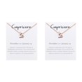 thumbnail image 2 of Sonducket Doce signos del zodiaco constelaciones tema símbolo único amistad collar elegante exquisito colgante oro rosa Capricornio Capricornio 2Conjunto, 2 of 6
