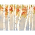 thumbnail image 2 of Goldberger, Jennifer 24x19 Gold Ornate Wood Framed with Double Matting Museum Art Print Titled - Swaying Birches II, 2 of 4