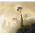 thumbnail image 2 of Monzon, Rick 22x20 White Modern Wood Framed Museum Art Print Titled - Fog, 2 of 4