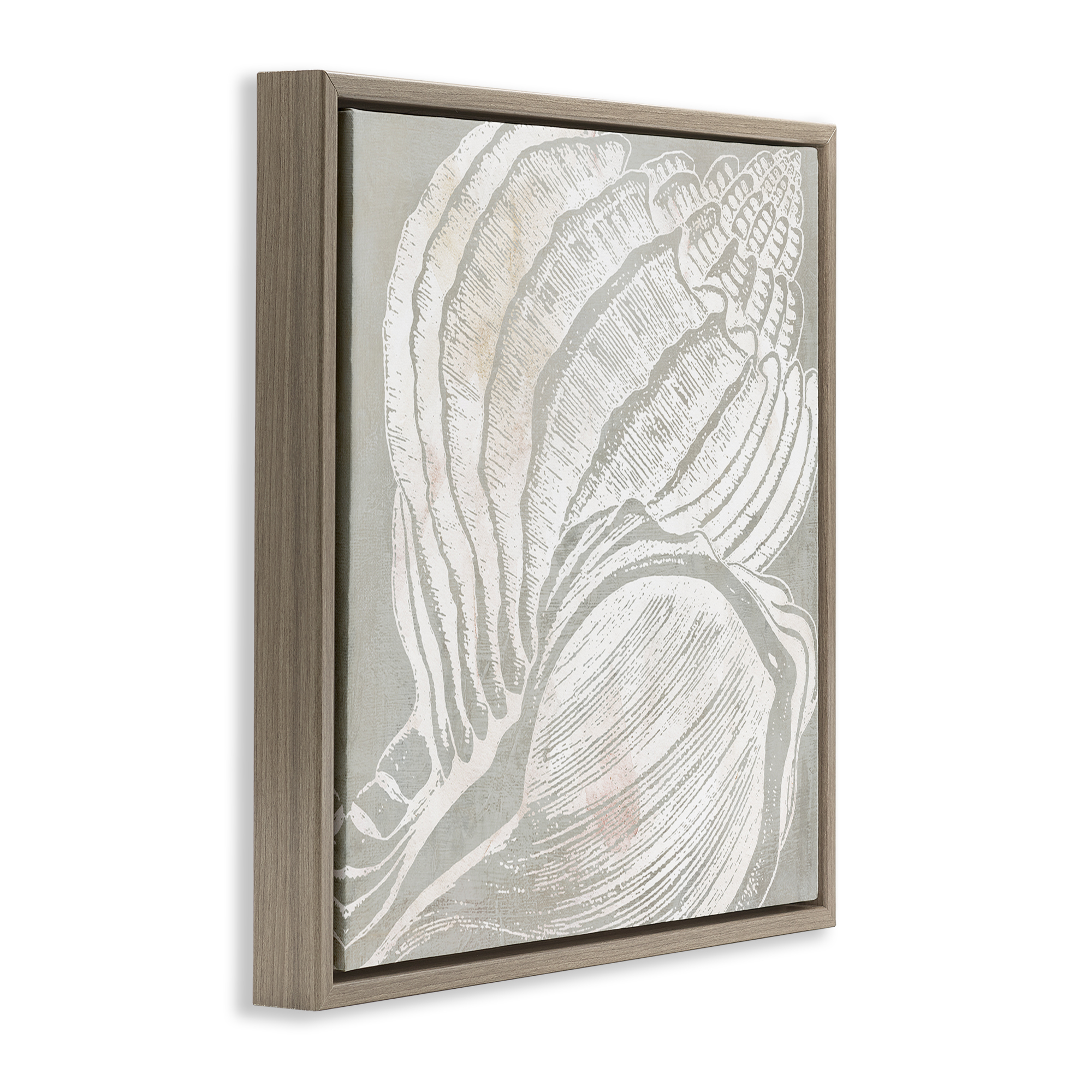 Stupell Industries Beige Conch Pattern Nautical & Beach Painting Brown Floater Framed Canvas Art Print Wall Art, 18 x 18
