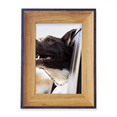 thumbnail image 1 of Perro negro animal foto foto Marco de imagen marco de escritorio, 1 of 4