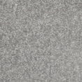 thumbnail image 2 of Pemberly Row 4' x 6' Silver Gray Fabric Outdoor Area Rug (4' x 6'), 2 of 11