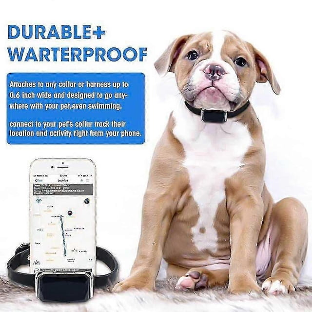 Smart Pet Tracker Multifunctional Dog GPS Collar Location | GPS Tracker