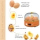 thumbnail image 4 of Incubadora de Huevos para Pollitos con Indicador de Humedad - Incubadoras para 6 Huevos con Volteo Automático - Incubadoras con Control de Temperatura y Humedad para, 4 of 7