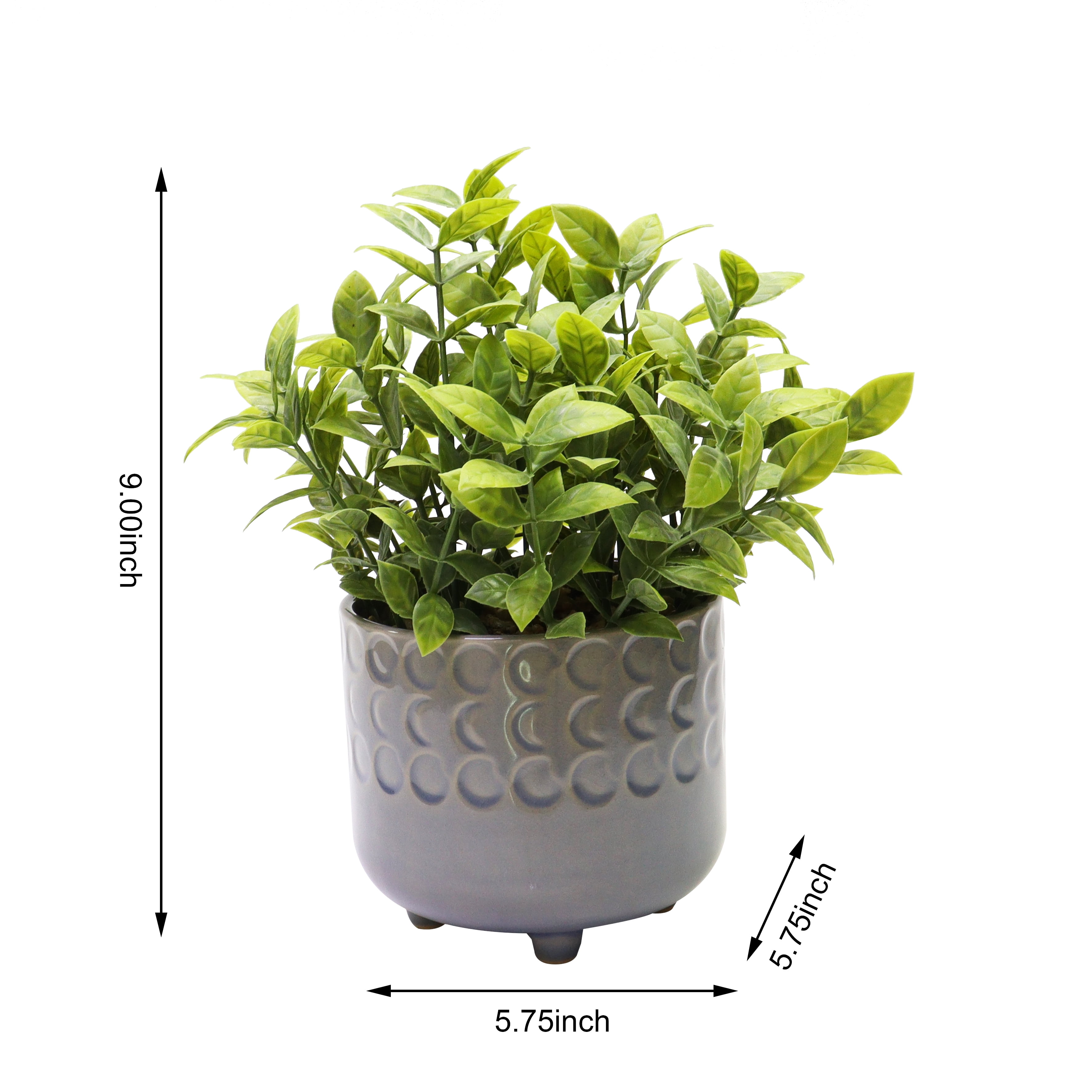 Nature's Mark 9”H Artificial Jade Plant in Gray Ceramic Pot