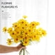 thumbnail image 5 of Margarita artificial, Margarita artificial Seda Flores silvestres de seda plástica Flores silvestres artificiales Artesanía superior, 5 of 7
