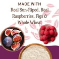 thumbnail image 4 of Nature's Bakery Raspberry Fig Bars Snack, 10 Pack, 2 oz Each, Box, 4 of 12