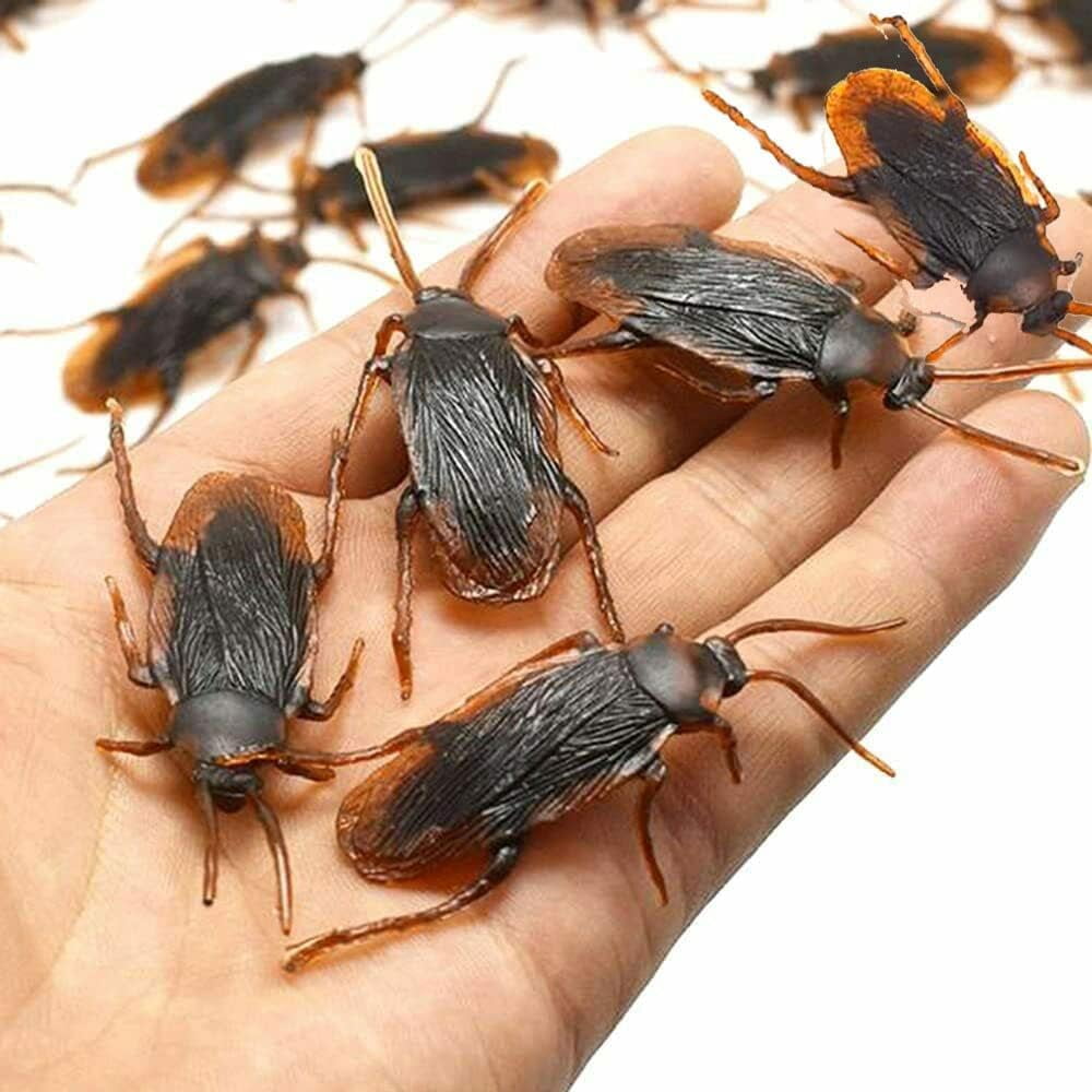 144 Fake Cockroaches - Realistic Looking Plastic Bugs For Pranks & Halloween