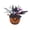 Gold, variant on Halloween Pumpkin Topiary Tree with Flowers Artificial Autumn Harvest Decorations Floral Centerpiece Table Mantel Shelf Farmhouse Home Prop，Black
