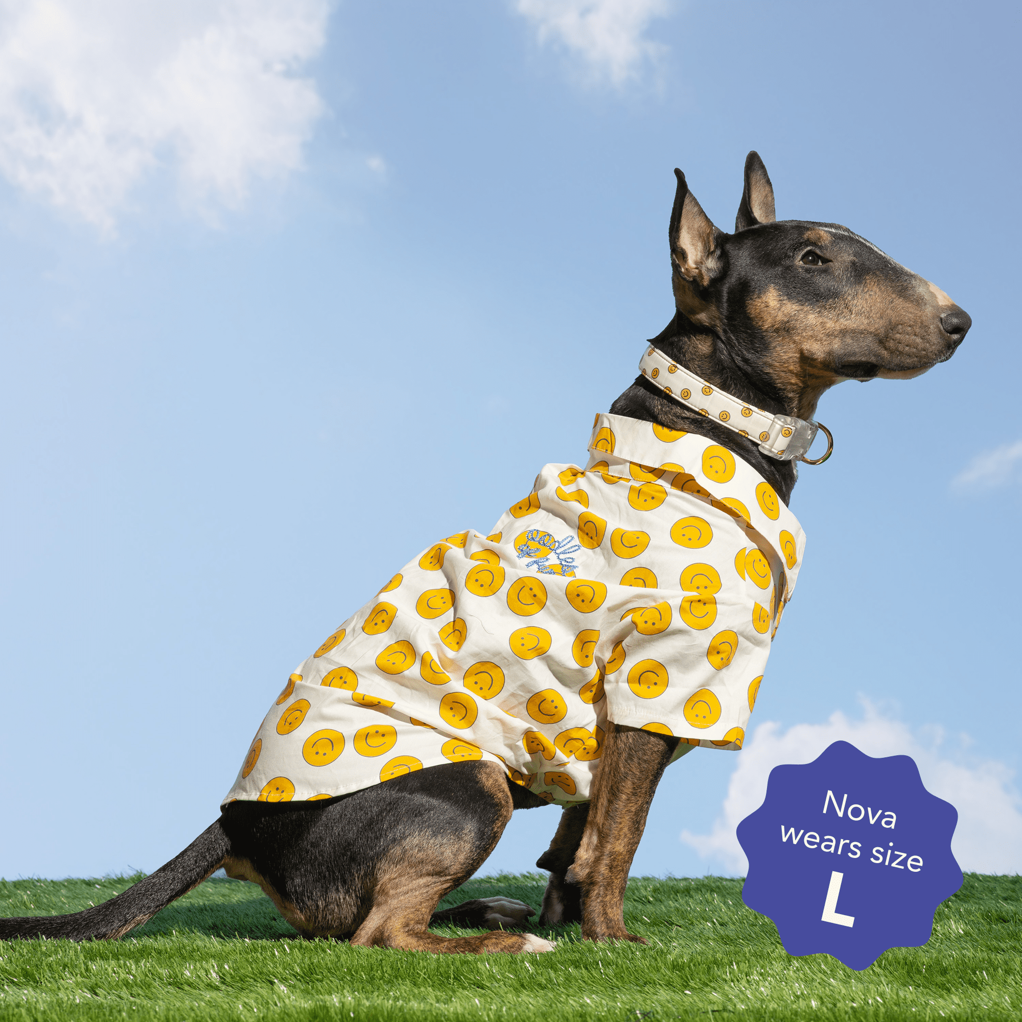 Oodles Tan Boxy Button-Up Smiley Face Spring Dog T-Shirt, Medium