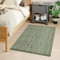 thumbnail image 5 of SUNDEREY 3'x5' Washable Bedroom Rugs,Area Rug,3x5ft Bohemian Kitchen Rug, Cotton Woven Entryway Rug, Modern Braided Door Mat,Stain Resistant Boho Rug Low-Pile Throw Rug for ‎Dining Room Office,Green, 5 of 6