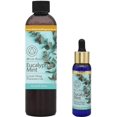 thumbnail image 1 of Set de aceites aromáticos Mystic Romance, eucalipto y menta, 60 ml y 240 ml, 1 of 1