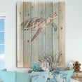 thumbnail image 2 of Designart Coastal Sea Life I Turtle Sketches Nautical Print on Natural Pine Wood Art Print, 30" x 40", 2 of 3