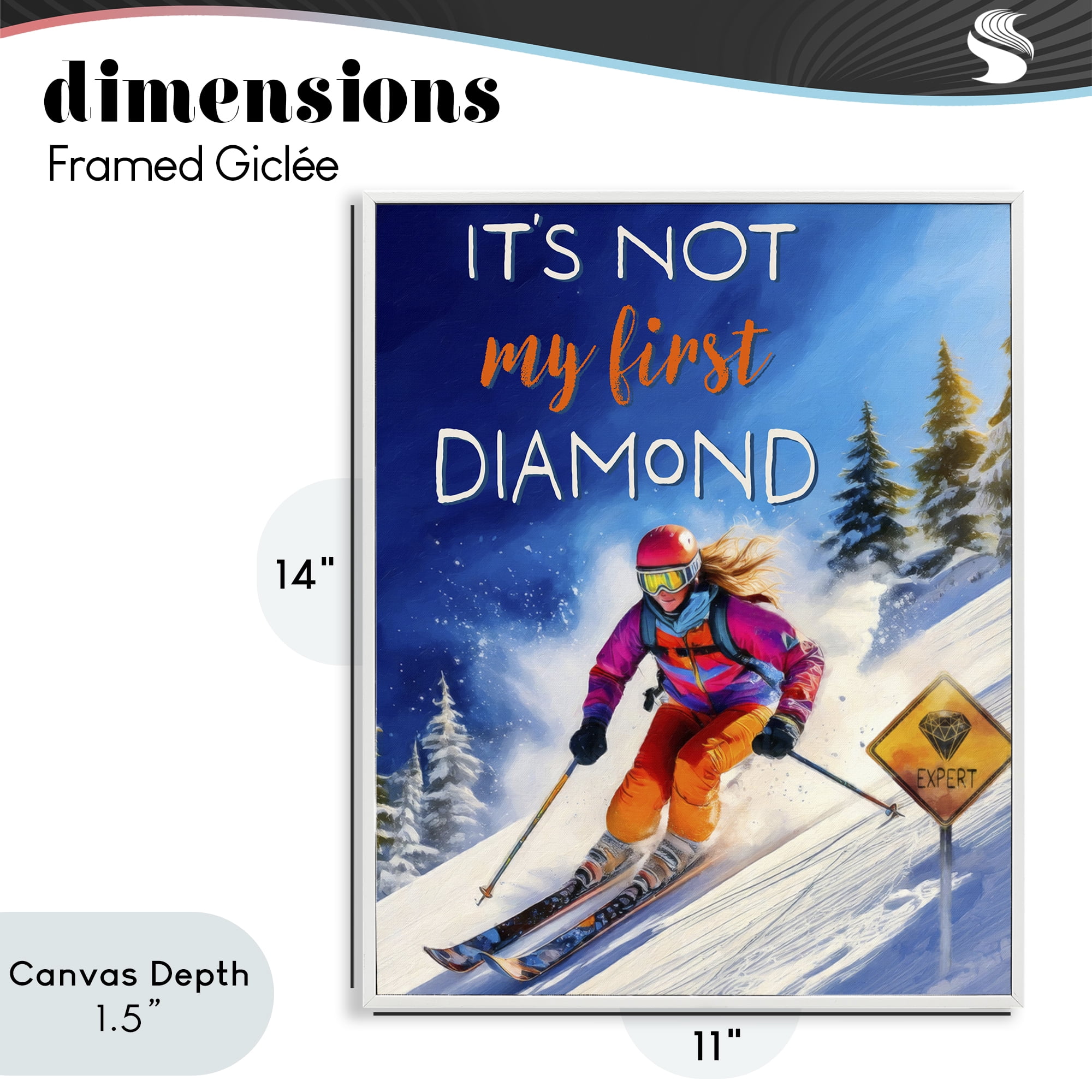Stupell Industries Not My First Diamond White Framed Giclee Art, design by Grotto Studios