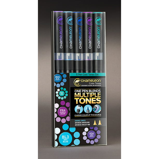 pijp kruising ijzer Chameleon 5-Pen Cool Tones Set - Walmart.com