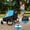 Black / Blue, variant on 2 in 1 Kids Bike Trailer and Stroller for 1 to 2 Children, Black / Blue