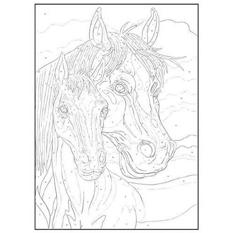 Barnes and Noble Horses Coloring Book For Kids: Horse and Pony Coloring  Book for Kids Ages 4-8 :64pages.- Suitables for markers, coloring pencils,  water colors, gel pens