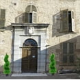 thumbnail image 4 of Spiral Topiary Artificial Cypress,Fake Trees for Outdoor and Indoor, Front Door Plants,Topiary Trees Artificial Outdoor with Plastic Pot,Set of 2(35inch), Special Green Color, 4 of 7