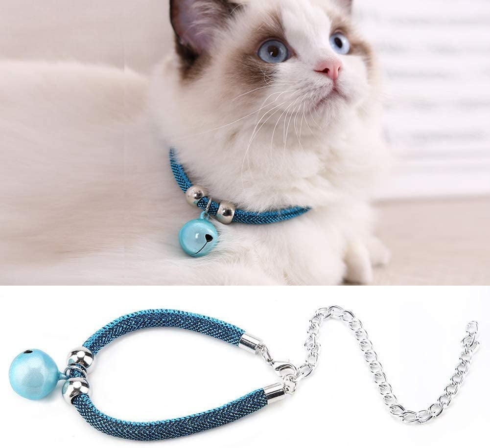 cat chain collar