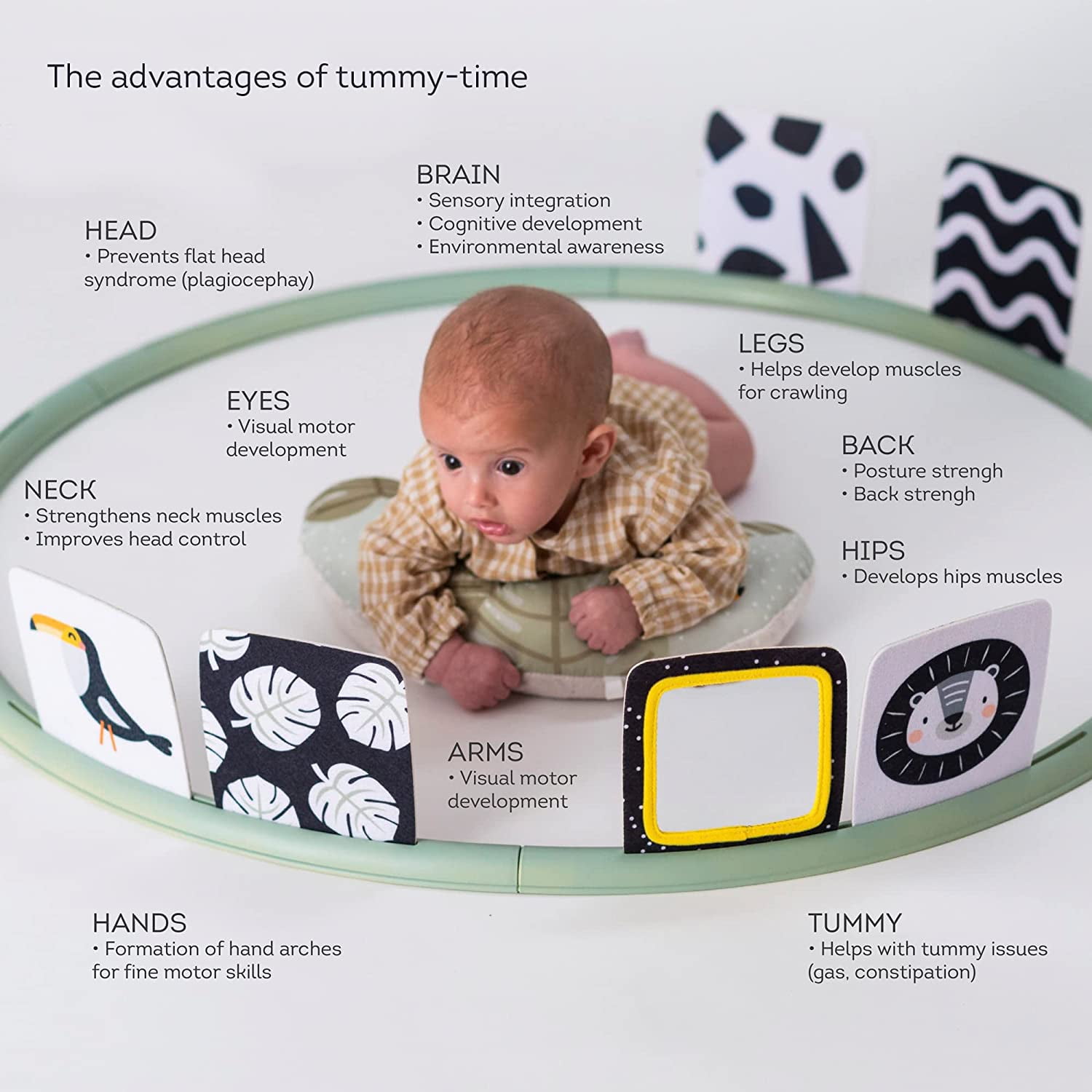 Taf Toys Tummy Time Support Developmental Center for Baby s