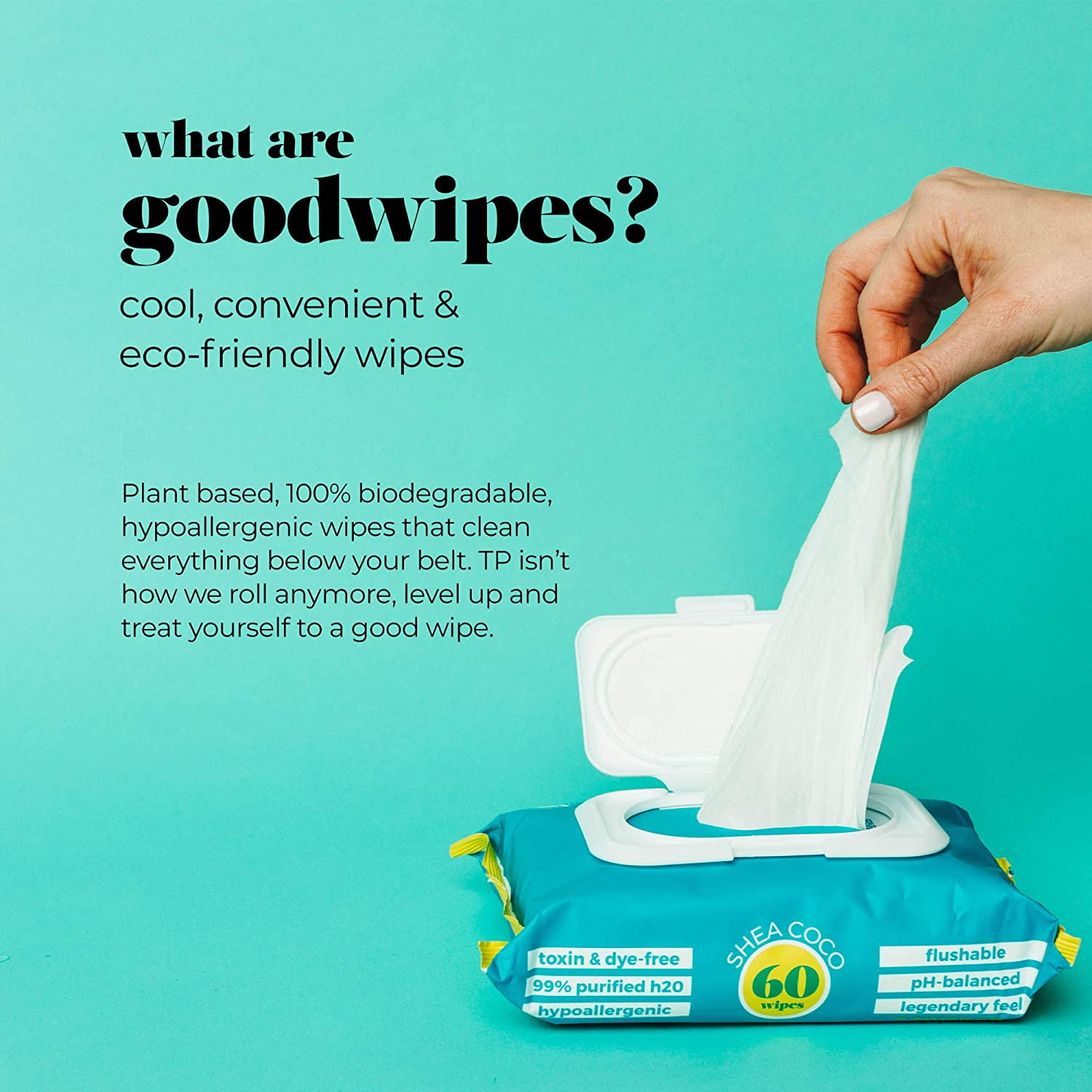 Goodwipes Flushable Wipes 60CT Variety Pack (4 Packs of 60) 1 ea