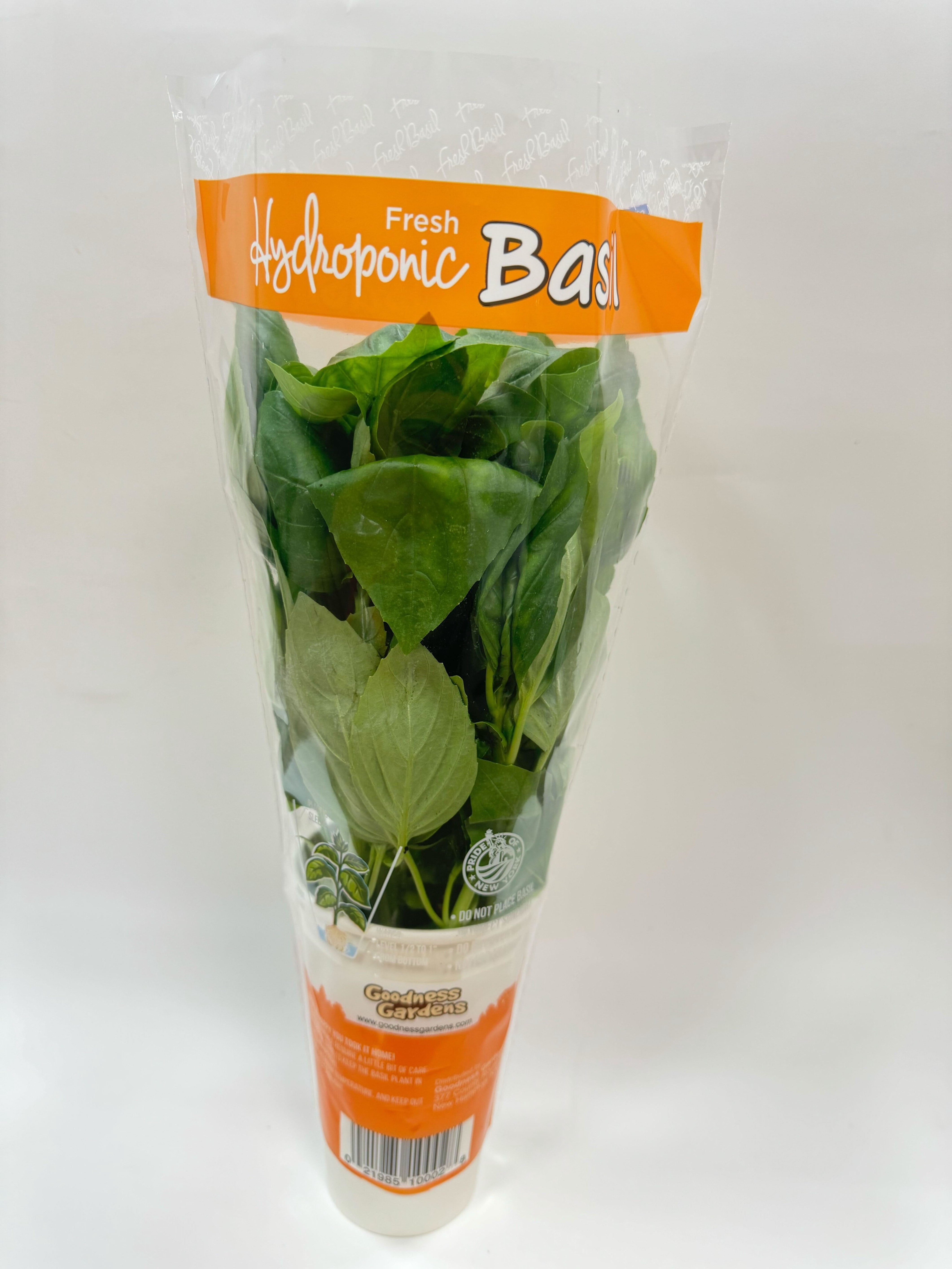 Gg Hydroponically Grown Basil