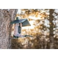 thumbnail image 3 of Smart Birdfeeder with AI Identification and Wi-Fi Solar Powered, Captures HD Pictures and Videos Sent Directly to Your Phone (Bird Feeder & Starter Kit)$$Garden & Patio, 3 of 9