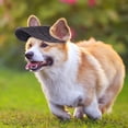 thumbnail image 3 of BT Bear Dog Hat with Ear Holes, Dog Baseball Mesh Cap, Adjustable Summer Travel Sport Hat For Small Medium Dogs Black S, 3 of 7