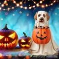 thumbnail image 4 of MAHAQI Halloween Candy Bowl Holder Ghost Trick Or Treat Resin Party Ornaments Easy To Assemble Decorations Gifts Dog, 4 of 5