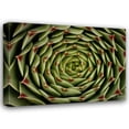 thumbnail image 1 of Vitaly Geyman 44x33 Gallery Wrapped Canvas Wall Art Titled - Floral Labyrinth I Color, 1 of 4
