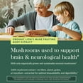 thumbnail image 5 of Gaia Herbs Lion's Mane Mushroom - Brain Health Support* - 120 Vegan Capsules (120 Servings), 5 of 9