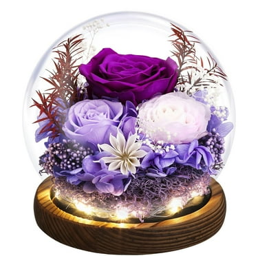Eternal Rose Gifts for Mom, Preserved Real Rose in Glass Dome with LED Light for Decoration, Flowers for Delivery Prime, Gifts for Women Wife Her on Birthday Anniversary,Purple