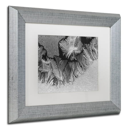 - Trademark Fine Art 'Window Frost Pattern 1' Canvas Art by Kurt Shaffer White Matte, Silver Frame