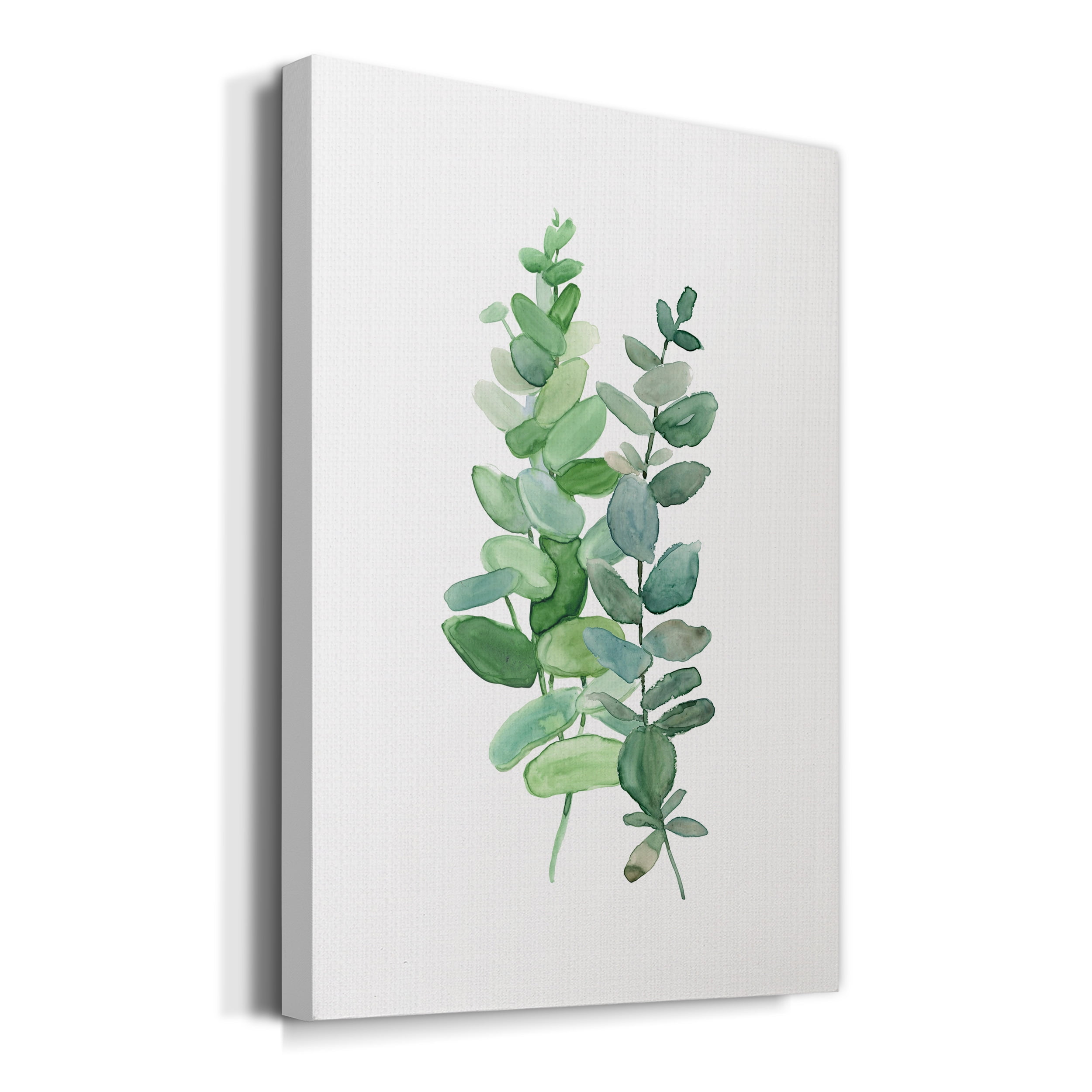 Eucalyptus II Premium Gallery Wrapped Canvas - Ready to Hang - 40 x 60