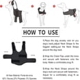 thumbnail image 5 of GASTROPOD 2026 New Comfort Dog Anxiety Relief Coat,Dog Anxiety Calming Vest Wrap for Thunderstorm,Travel,Vet Visits,Separation Anxiety Relief for Dogs Coat for Dogs, 5 of 7