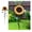 48 h, variant on Flower Garden Stakes Metal Spring Yard Art - Decorative Plant Stakes for Lawn, Patio, Pathway - Outdoor Indoor Home Decor (8 H)