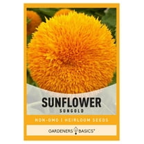 Dwarf Sungold Sunflower Seeds