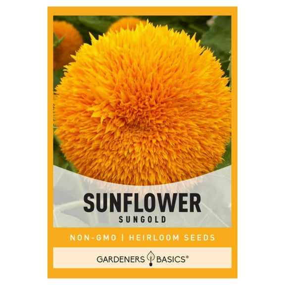 Dwarf Sungold Sunflower Seeds