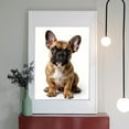 thumbnail image 2 of Diamond Art Kit for Adults, Brown French Bulldog Sitting Cute Diamond Painting for Adults Beginners, DIY Diamond Art Painting Kits, 5D Diamond Painting Crafts for Home Decor 12x16 Frameless, 2 of 7