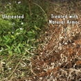 thumbnail image 3 of Natural Armor Weed & Grass Killer, 128 oz, 3 of 8