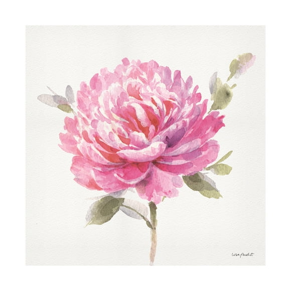 Lisa Audit 'Obviously Pink 03' Canvas Art