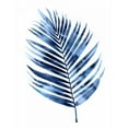 thumbnail image 3 of Miller, Melonie 19x24 Black Modern Framed Museum Art Print Titled - Indigo Palm I, 3 of 5