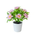 thumbnail image 1 of Ltdhehe Bonsai Desk Arrangement Home Centerpiece Wedding, 1 of 5