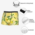 thumbnail image 6 of Balery Lemon Men's Boxer Briefs, Soft and Breathable Cotton Underwear with nylon Waistband-X-Large, 6 of 9