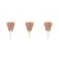 thumbnail image 3 of ZheElen 3pcs/set Atmosphere With Artificial Pampas Reed Boho Decor Artificial Flower Light Coffee 3Set, 3 of 6