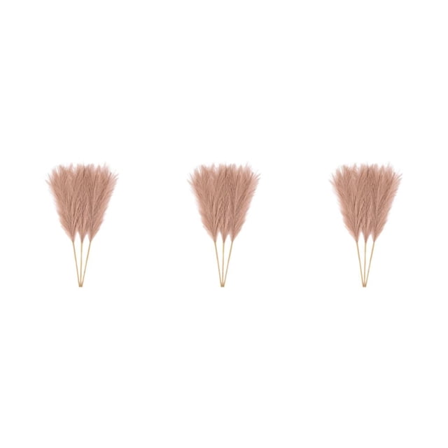 Wweixi 3piece Peaceful With Pampas Reed Decoration Downy And Durable Boho Decor Light Coffee 3Set